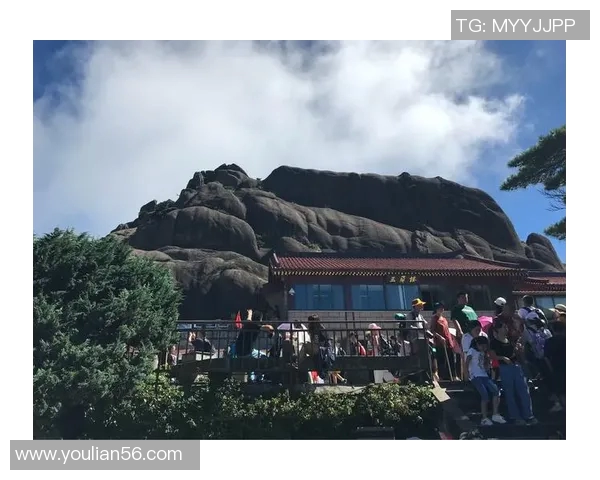 赛后分析：杭州乒乓球队与南京乒乓球队的战术意识与表现对比