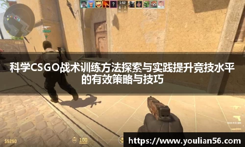 3亿体育官网