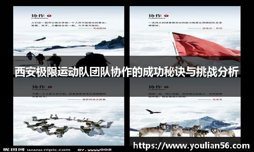 三亿体育