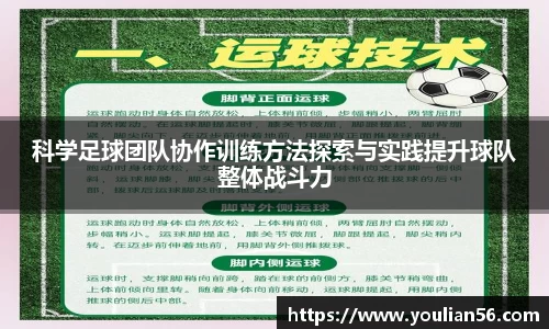 三亿体育官网