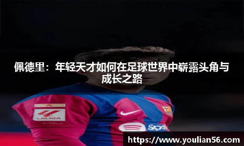 三亿体育平台