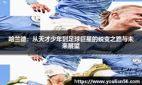 三亿体育