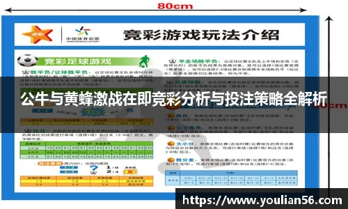 3亿体育官网